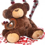 Dark Brown 5 Feet Big Teddy Bear with a heart